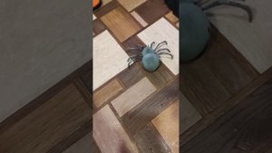 Светящийся паук на пульте распаковка
