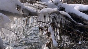 начало декабря