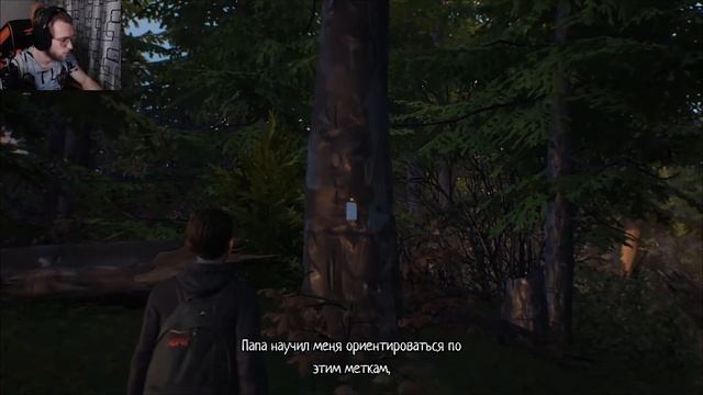 Life is Strange 2 Эпизод 1  ВЫЖИВАНИЕ В ЛЕСУ 2