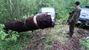 Находка на 800+кг!!!