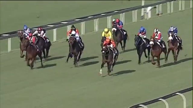 SS BLITZ SA CLASSIC смотреть онлайн