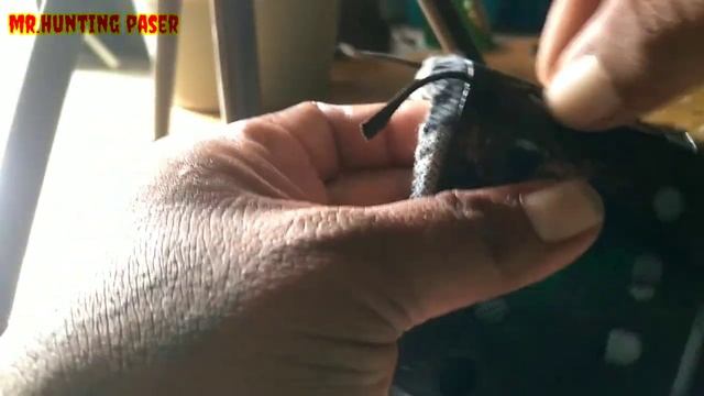 tripot hp untuk nyanggong || tripot murah смотреть онлайн