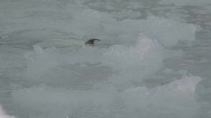 "На прогулке" =пос. Гатка 2016 год=