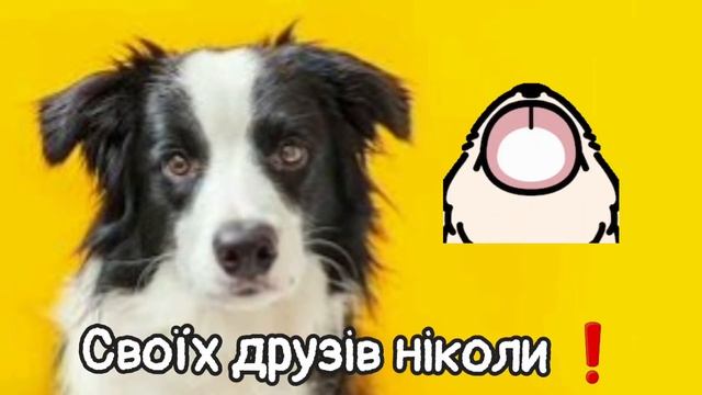 Привітання з всесвітнім днем собаки! смотреть онлайн
