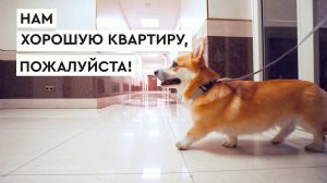 Эпизод 1. Покупка квартиры