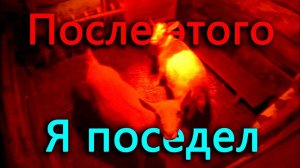 Создал адские условия козам  Приехал в полицию с оружием в руках и поседел