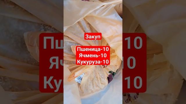 затарился Кукуруза  Ячмень и пшеница