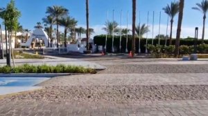 МОРЕ КРАСНОЕ!