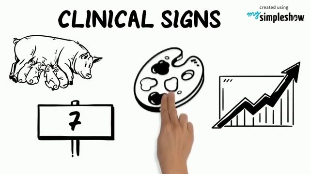 PIGLET ANEMIA || VET TOUR смотреть онлайн