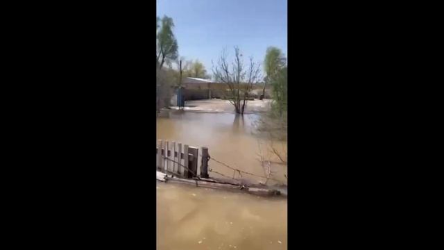 Уровень воды в Урале поднялся выше 8,5 метров. Затоплены дачи в ЗКО смотреть онлайн