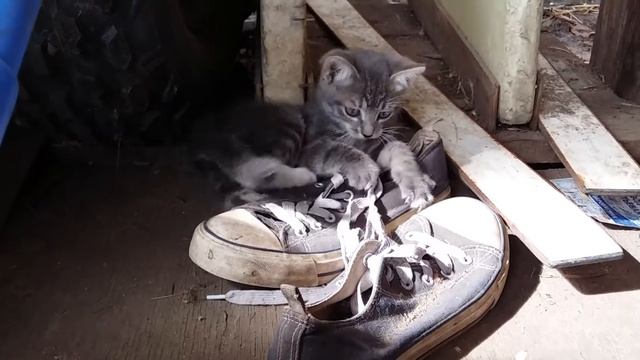 Серая смотреть онлайн