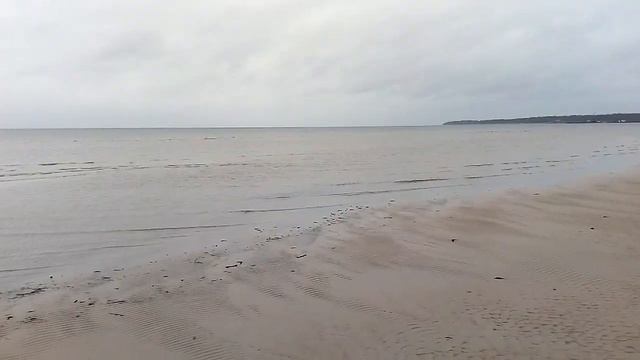 С.Бор.пляж,ноябрь смотреть онлайн