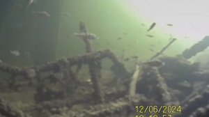 1000034759.mp4Дно Волги.06.12.2024г.