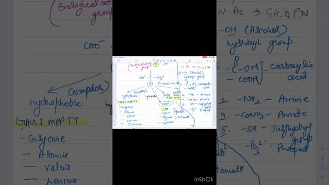 Tips to remember amino acids structure quickly. #mcattutoring смотреть онлайн