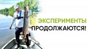 КРУПНАЯ ЩУКА на Чебоксарке. Эксперименты продолжаются!