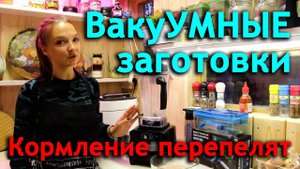 Простой способ кормления перепелят. Увеличиваем поголовье перепелов. Вакуумные заготовки для борща.