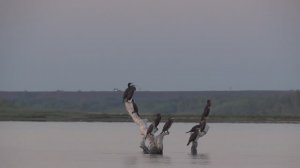 Калмыкия ч1