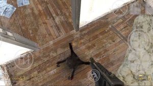 Лол, ядовитый хедкраб забагался