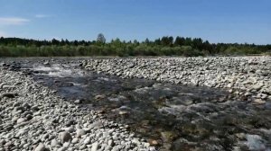 Верховья, р. Китой, п. Октябрьский. Июнь 2023 г.