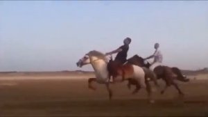 Иноходец (Казахстан)