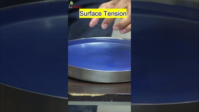 Surface Tension | Floating Needle | Floating Needle on the Water | Science Experiment | смотреть онлайн