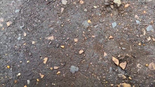 F781 Nissan Note 2007, 1.4, бензин, МКПП смотреть онлайн