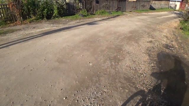 Золотая осень в лесу (часть 3) смотреть онлайн