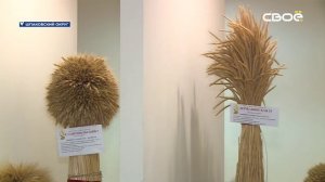 Новости на Своём от 9 декабря 2024г. 8:30