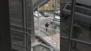 Карп рай с Рязань. Октябрь. 2024