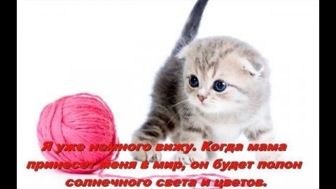 Нерожденные