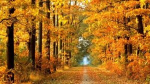 Изменение климата Земли