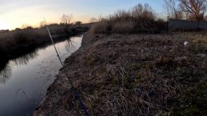 Вернулся на речку Саратовку покидать спиннинг, дачники рыбу подсаками собирали из за обмеления реки