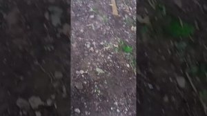 взорвали кегу