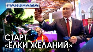 Президент дал старт акции «Ёлка желаний»: чьи мечты исполнит Владимир Путин? 06.12.2024, "Панорама"