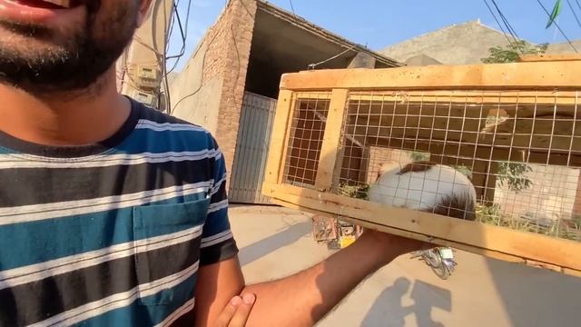 Humary Ghr HUD HUD Agai😍 смотреть онлайн