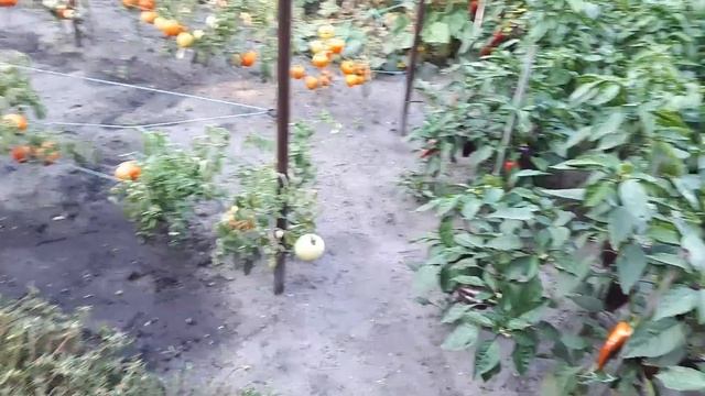 ЗНАК СВЫШЕ......