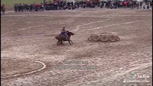 Манас Ниязов Бойка