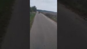 да я молодой ойой ойой ойой ди и ти молода так иди сюда