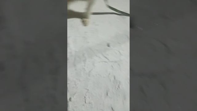 мы с папой долго строили смотреть онлайн