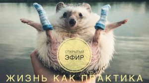Практика для жизни // Открытый эфир от 05.12.2024.
