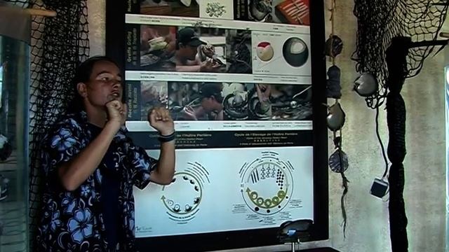 Bora Bora Black Pearl Farming смотреть онлайн