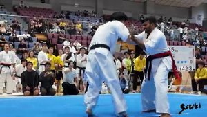 Чемпионат мира Sabaki Challenge Япония автор видео ( Enshin Karate HQ )