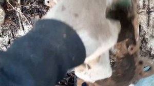 КОП МЕДИ ,МЕТАЛЛА ))))