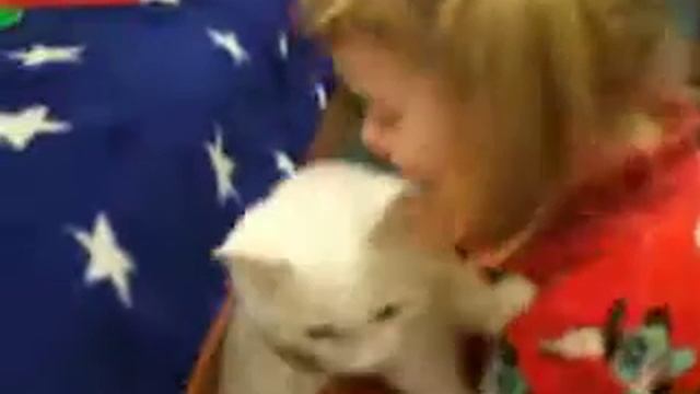 Кіт Кузя не хоче їсти кашу... смотреть онлайн