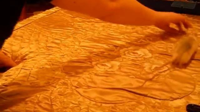 Забег Хасёныша смотреть онлайн