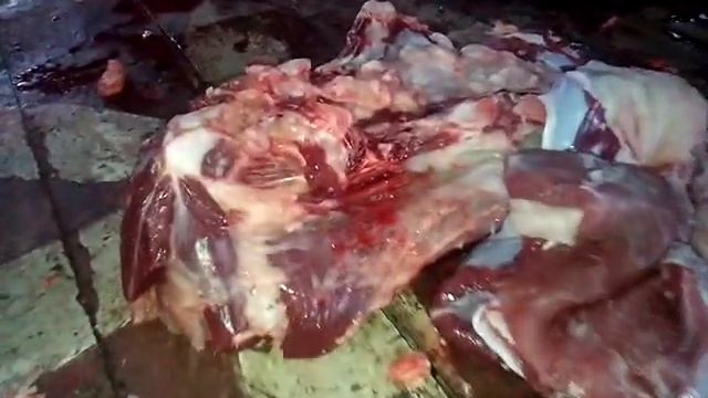 туша еще живет смотреть онлайн