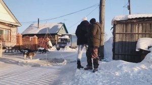 Всего 5 минут и собака поймана🙏 Люблю такие быстрые ловли❤️ Ловим дикую собаку сетью☑️
