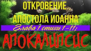 Апокалипсис (Откровение)  1 глава  с 1 по 11 стихи.