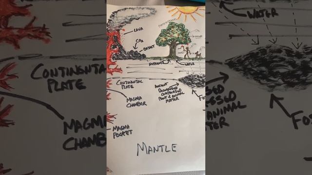 A diagram of the #carbon cycle #CO2 both natural and unnatural #climate #climatechange смотреть онлайн