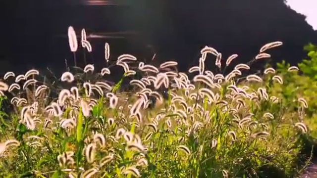 ВОДОЛЕЙ. Октябрь 2021 г. смотреть онлайн